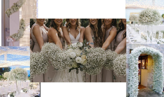 Filler Flowers Stealing the Show!!