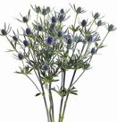 Blue, Flower, Bar, DIY Kit