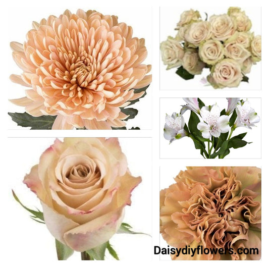 Blush, Flower, Bar, DIY Kit