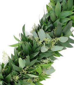 Soft Greenery with dark green creates depth. Assortment of Nagi and Seeded Eucalyptus greenery.