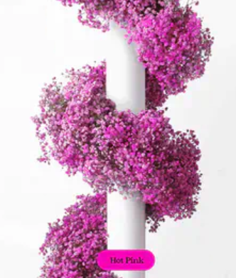 Baby's Breath, Garland, Hot Pink