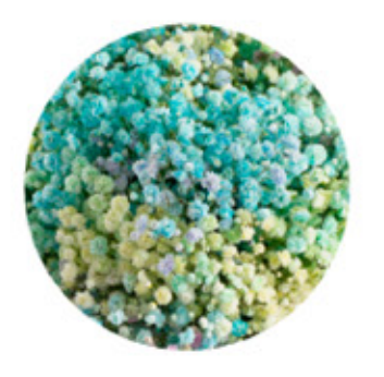 Baby's Breath, Garland, Illusion, Rainbow