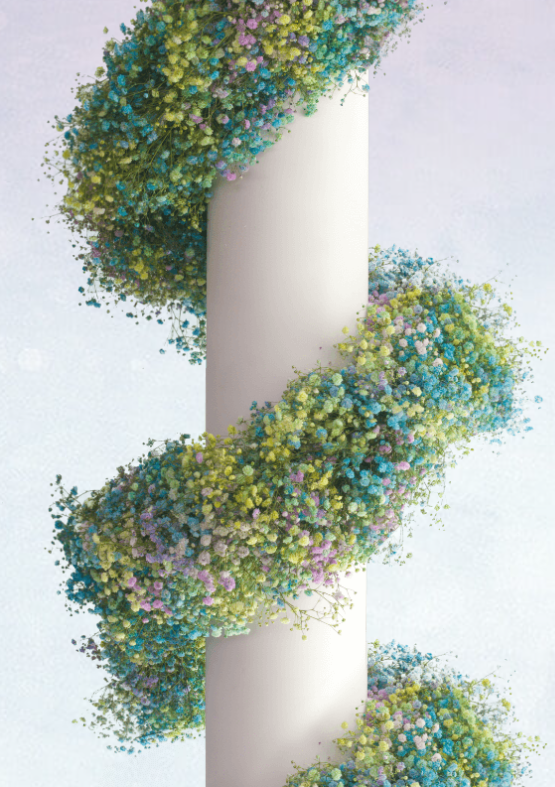 Baby's Breath, Garland, Illusion, Rainbow