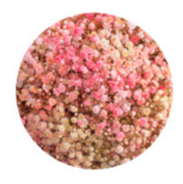 Baby's Breath, Garland, Indian Summer, Rainbow