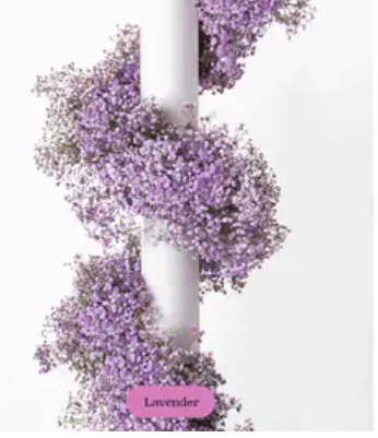 Baby's Breath, Garland, Lavender