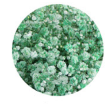 Baby's Breath, Garland, Light Green