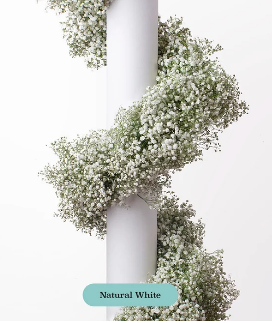 Baby's Breath, Garland, Natural, White