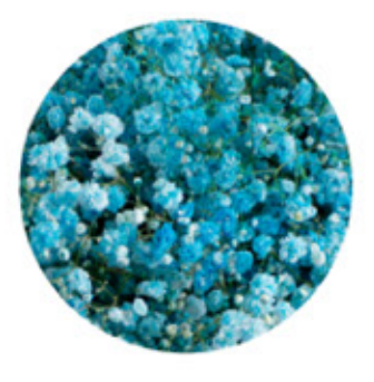 Baby's Breath, Garland, Turquoise