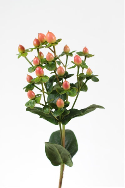 Peach Bulk Wedding Flowers - Peach Hypericum – DaisyDIYFlowers