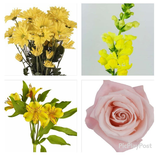 Pink, Yellow, Bar, Flower, DIY Kit