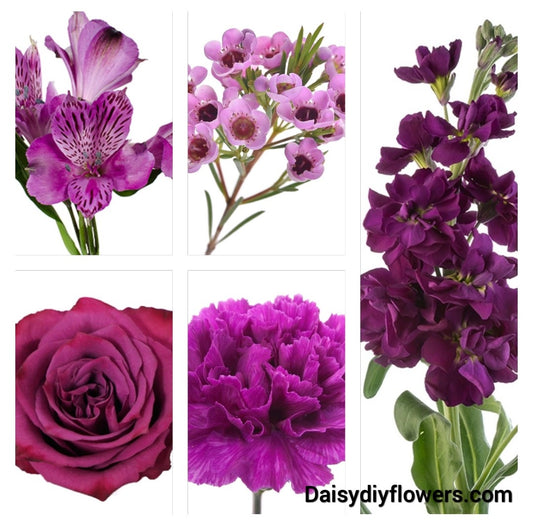 Purple, Flower, Bar, DIY Kit