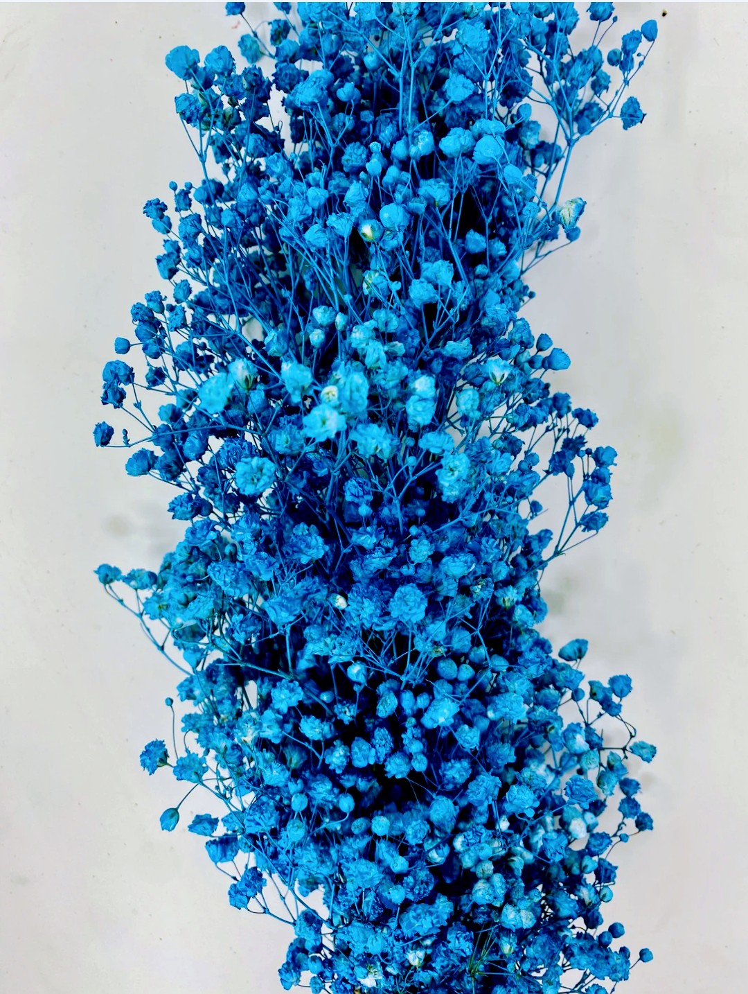 Baby's Breath, Garland, Blue