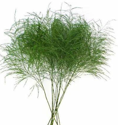 Purple, Flower, Bar, DIY Kit