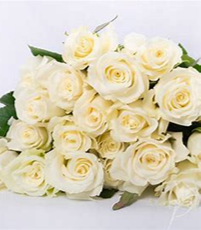 Roses, Escimo, White