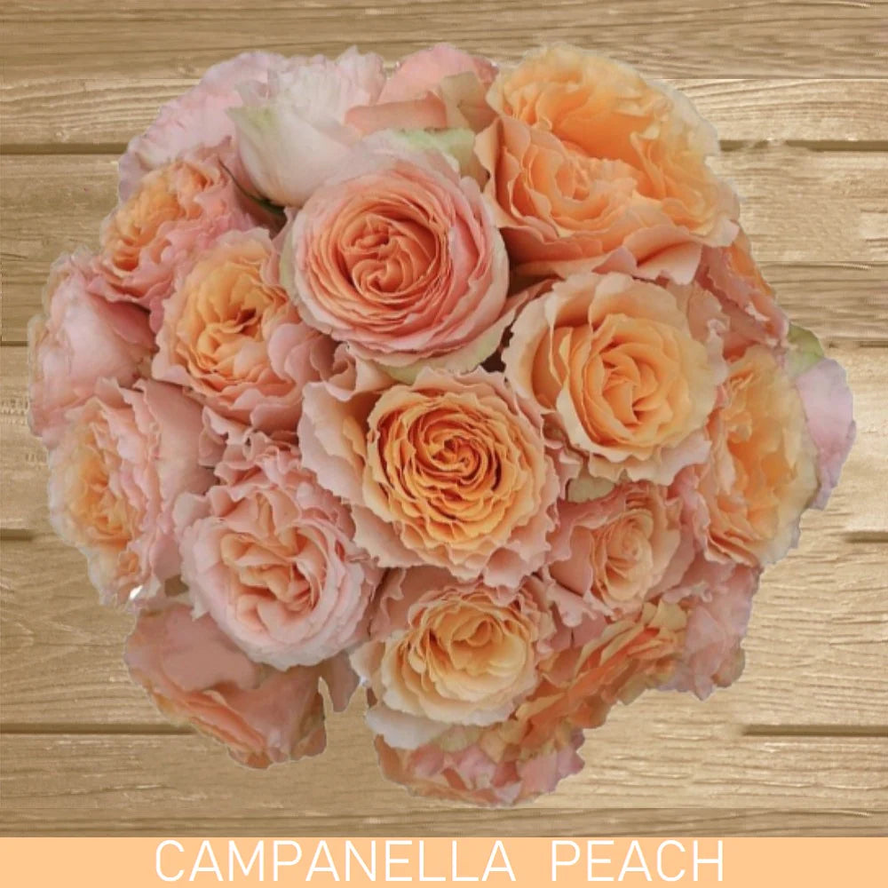 Roses, Campanella, Peach