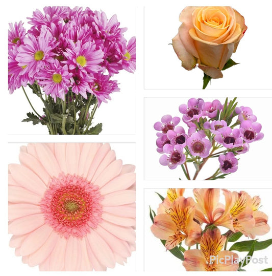 Peachy, Pink and Lavender, Flower, DIY Kit