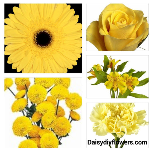 Yellow, Flower, Bar, DIY Kit